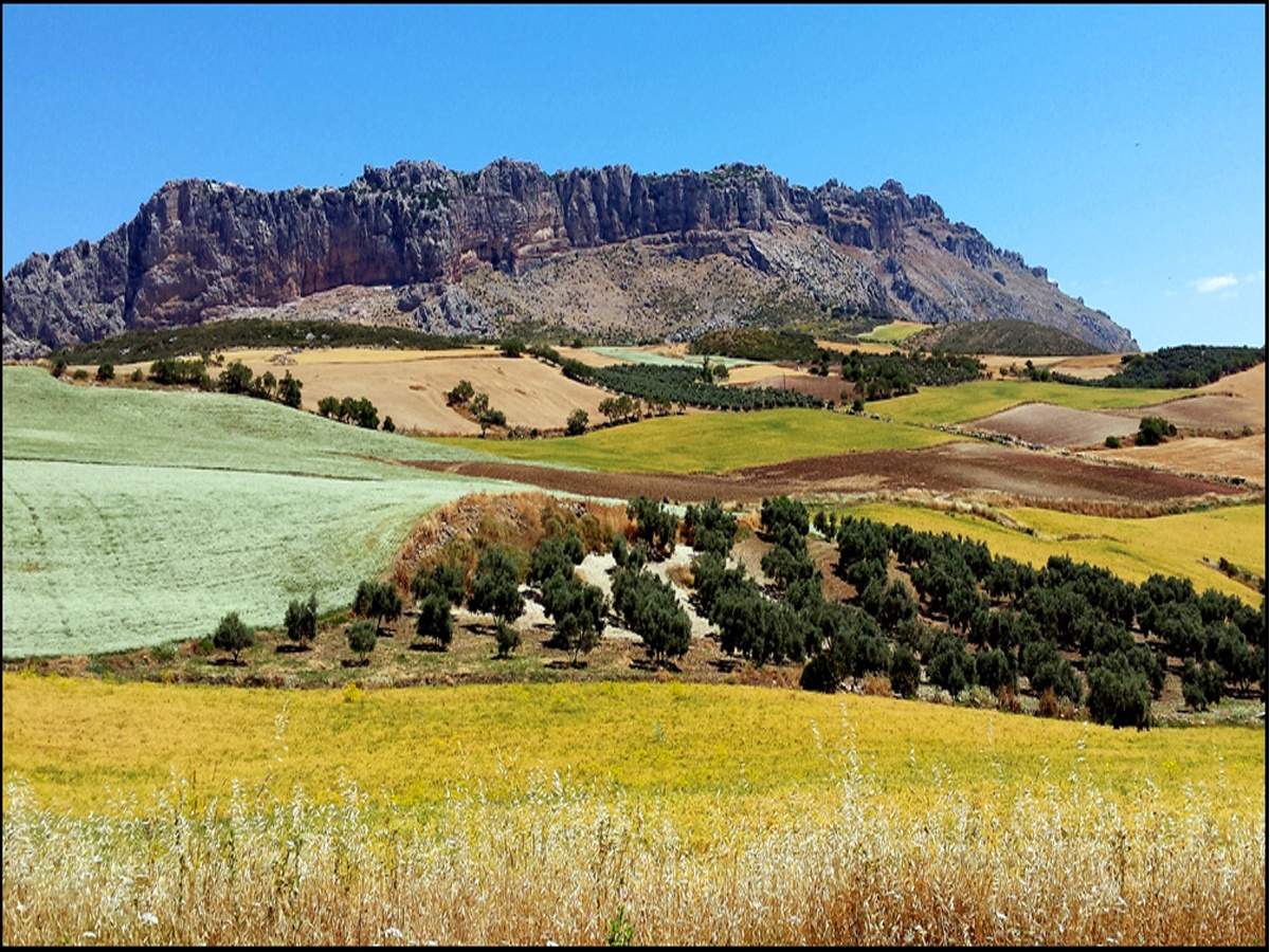 Read more about the article Back to the blogosphere