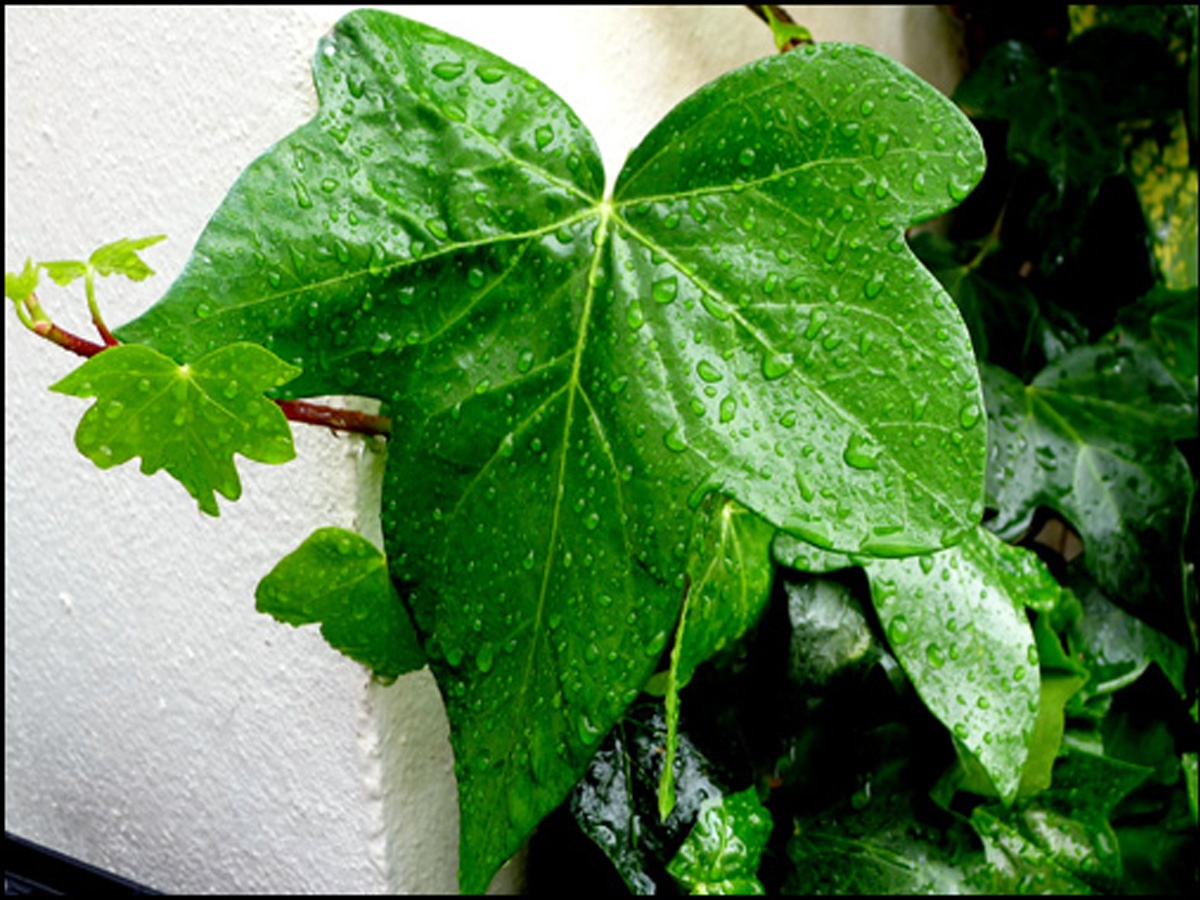 Read more about the article Agua es vida! – Water is life!”