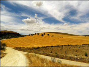 Read more about the article Andalusia Day