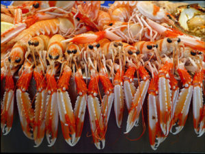 Read more about the article Cadiz Central Market