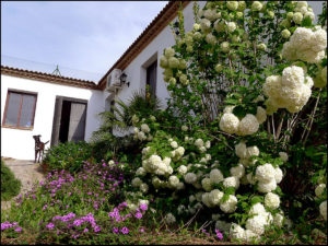 Read more about the article Casabermeja Ceramic Museum and Workshop