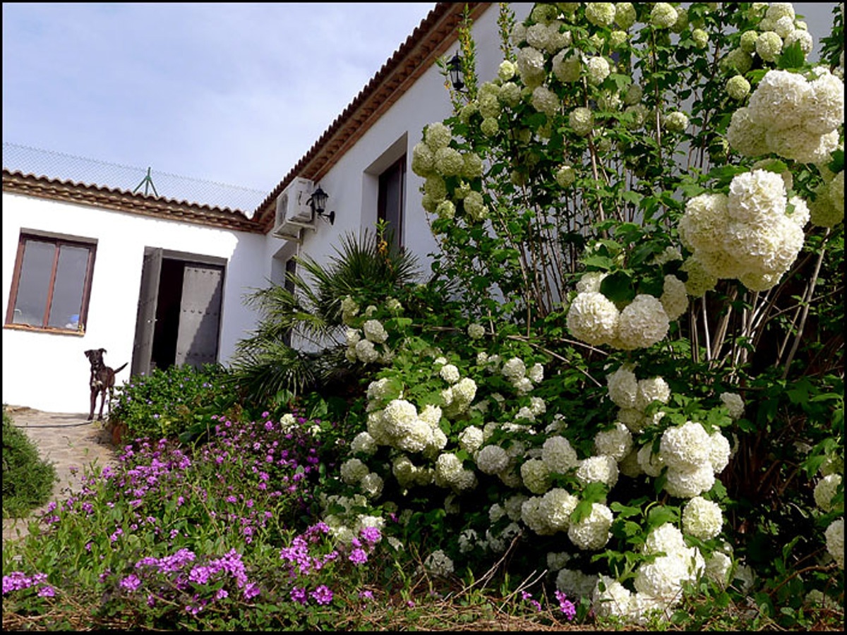 Read more about the article Casabermeja Ceramic Museum and Workshop