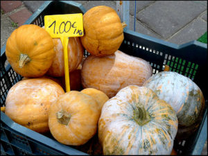 Read more about the article Coin Ecological Farm Market