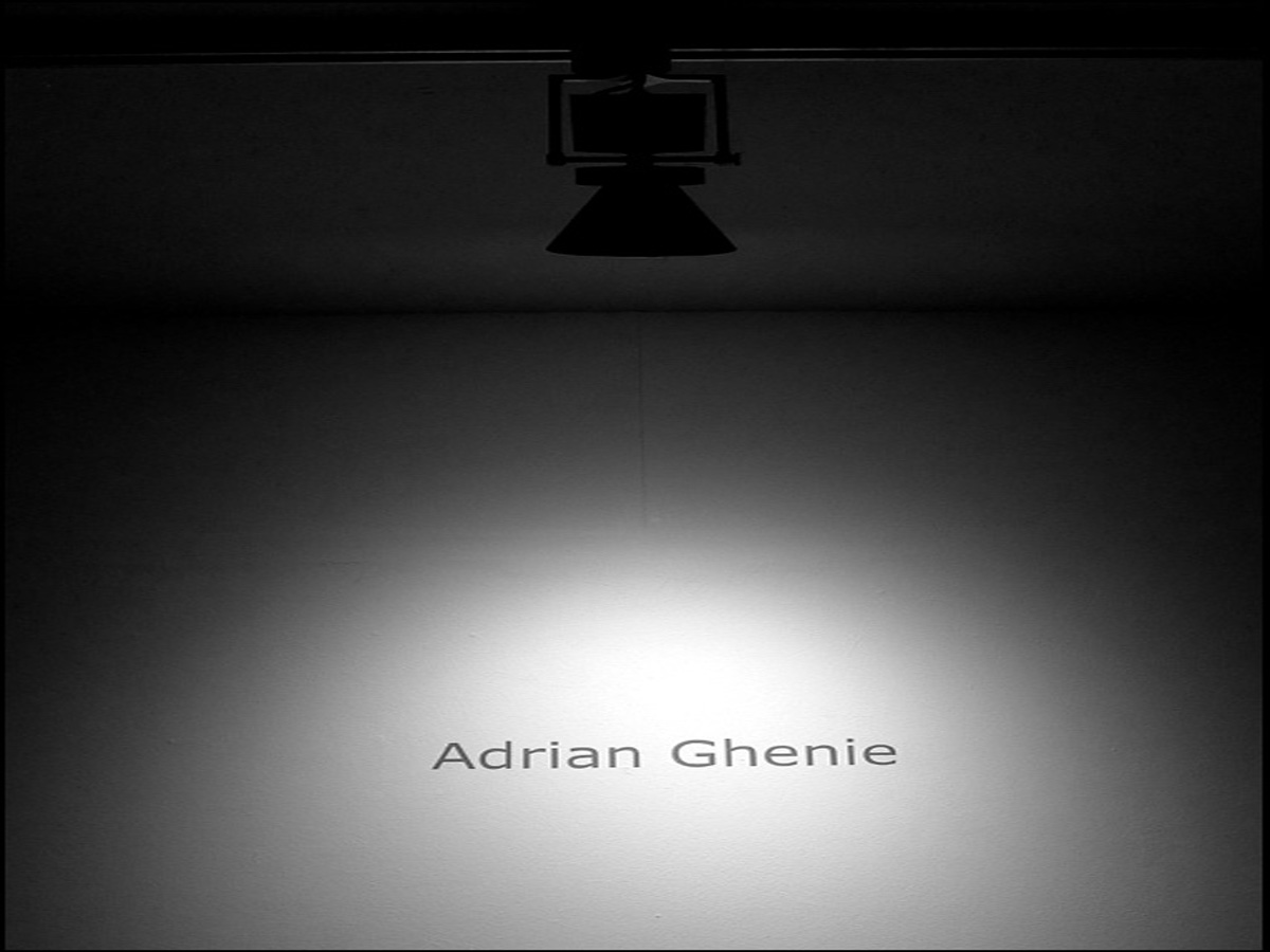Read more about the article Adrian Ghenie Exhibition
