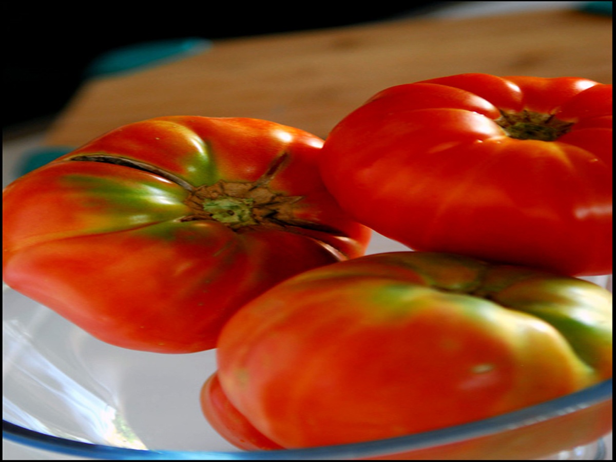 Read more about the article Tomatoes, tuna and bread salad