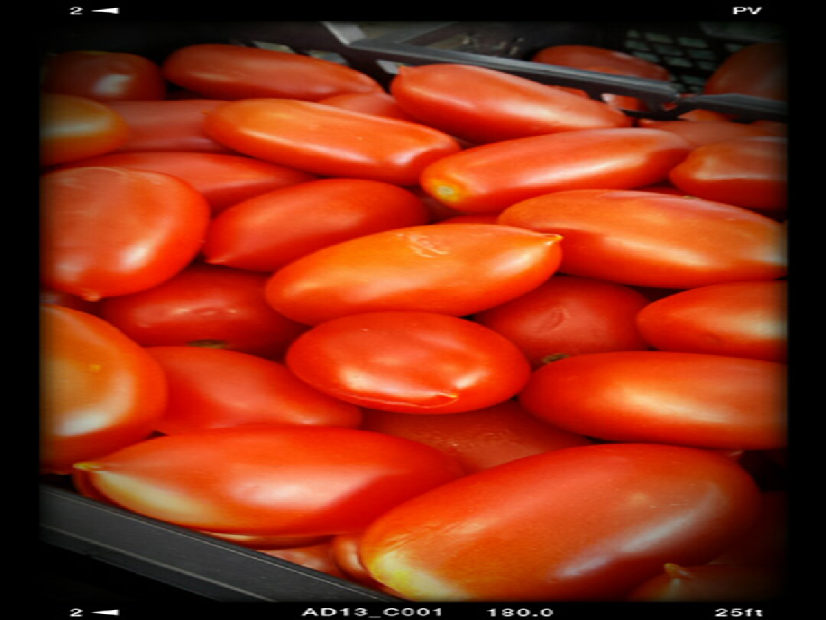 Read more about the article Tomatoes – Tasty Summer Delight