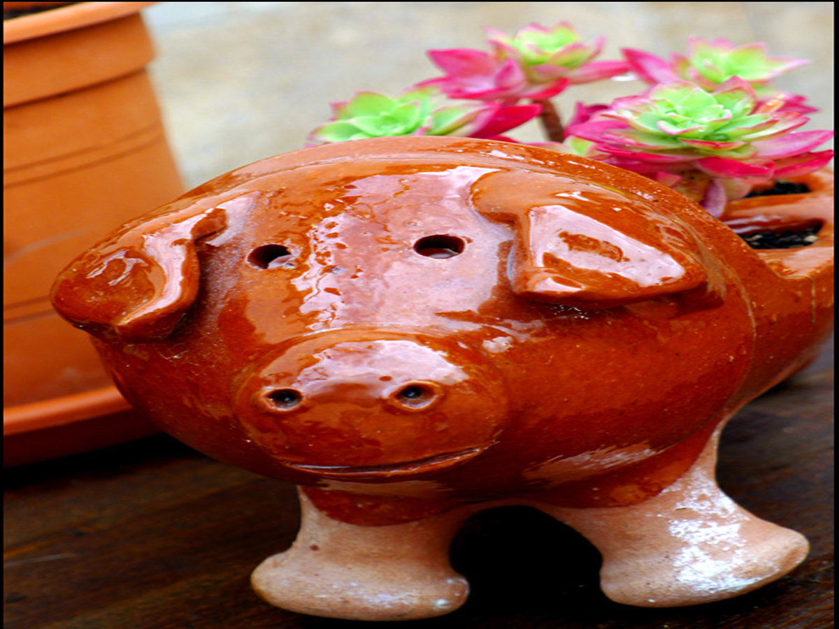 Read more about the article Spring around the House